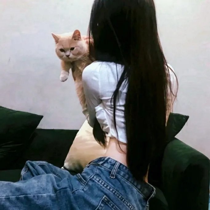 哈瓦那三日危情
